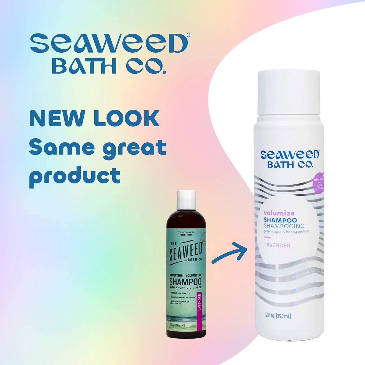 Seaweed Bath Co. Volumize Shampoo, Lavender Scent - 12 oz - Sustainably Harvested Seaweed & Green Algae for Normal to Fine Hair Avelisse