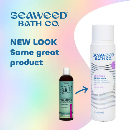 Seaweed Bath Co. Volumize Shampoo, Lavender Scent - 12 oz - Sustainably Harvested Seaweed & Green Algae for Normal to Fine Hair Avelisse