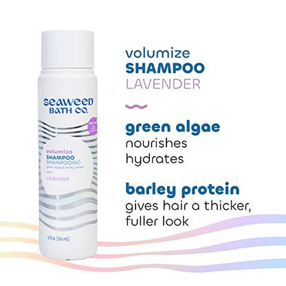 Seaweed Bath Co. Volumize Shampoo, Lavender Scent - 12 oz - Sustainably Harvested Seaweed & Green Algae for Normal to Fine Hair Avelisse