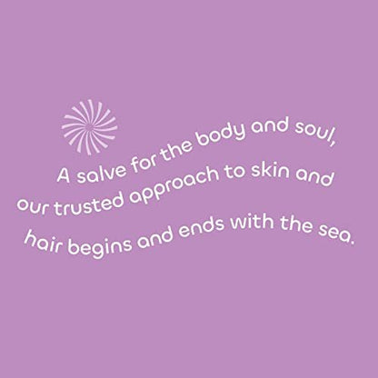 Seaweed Bath Co. Volumize Shampoo, Lavender Scent - 12 oz - Sustainably Harvested Seaweed & Green Algae for Normal to Fine Hair Avelisse