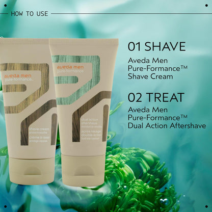 Aveda Men Pure-Formance Dual Action Aftershave – 2-in-1 Aftershave & Moisturizer with Spearmint, 2.5 Fl Oz Avelisse