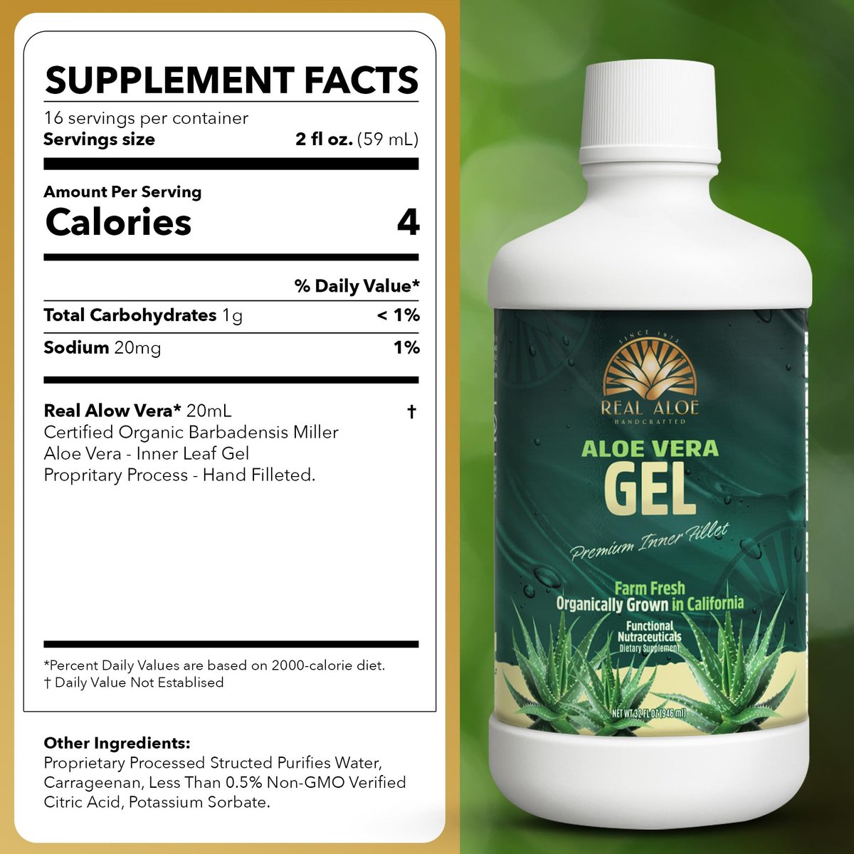 Real Aloe Aloe Vera Gel (32 fl oz) - Organic Inner Leaf Gel for Gut Health & Digestion, Aloin-Free, Made in USA Avelisse
