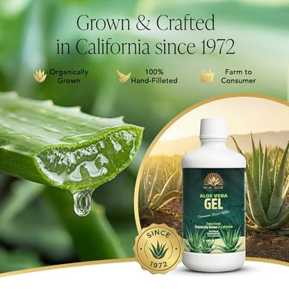 Real Aloe Aloe Vera Gel (32 fl oz) - Organic Inner Leaf Gel for Gut Health & Digestion, Aloin-Free, Made in USA Avelisse