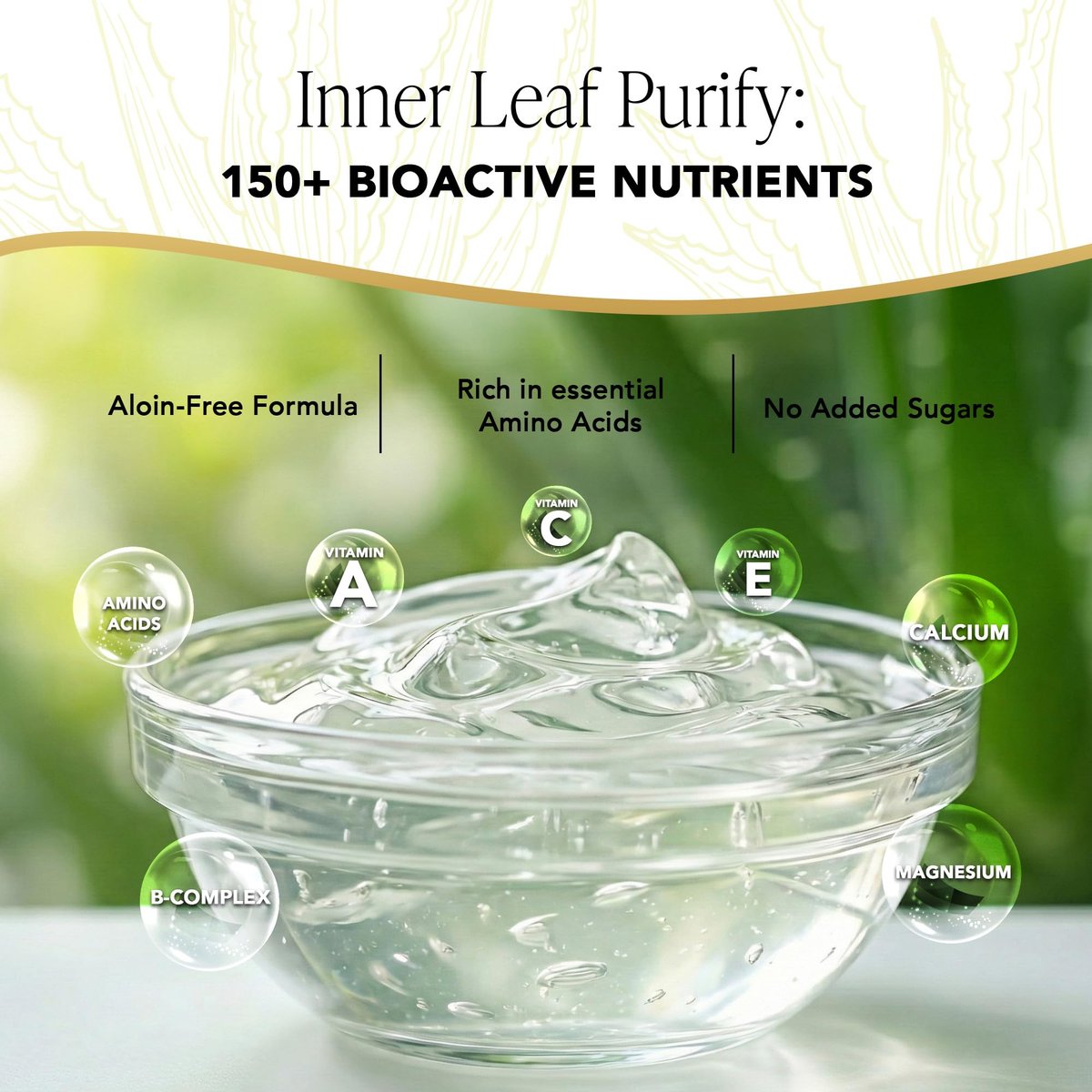 Real Aloe Aloe Vera Gel (32 fl oz) - Organic Inner Leaf Gel for Gut Health & Digestion, Aloin-Free, Made in USA Avelisse
