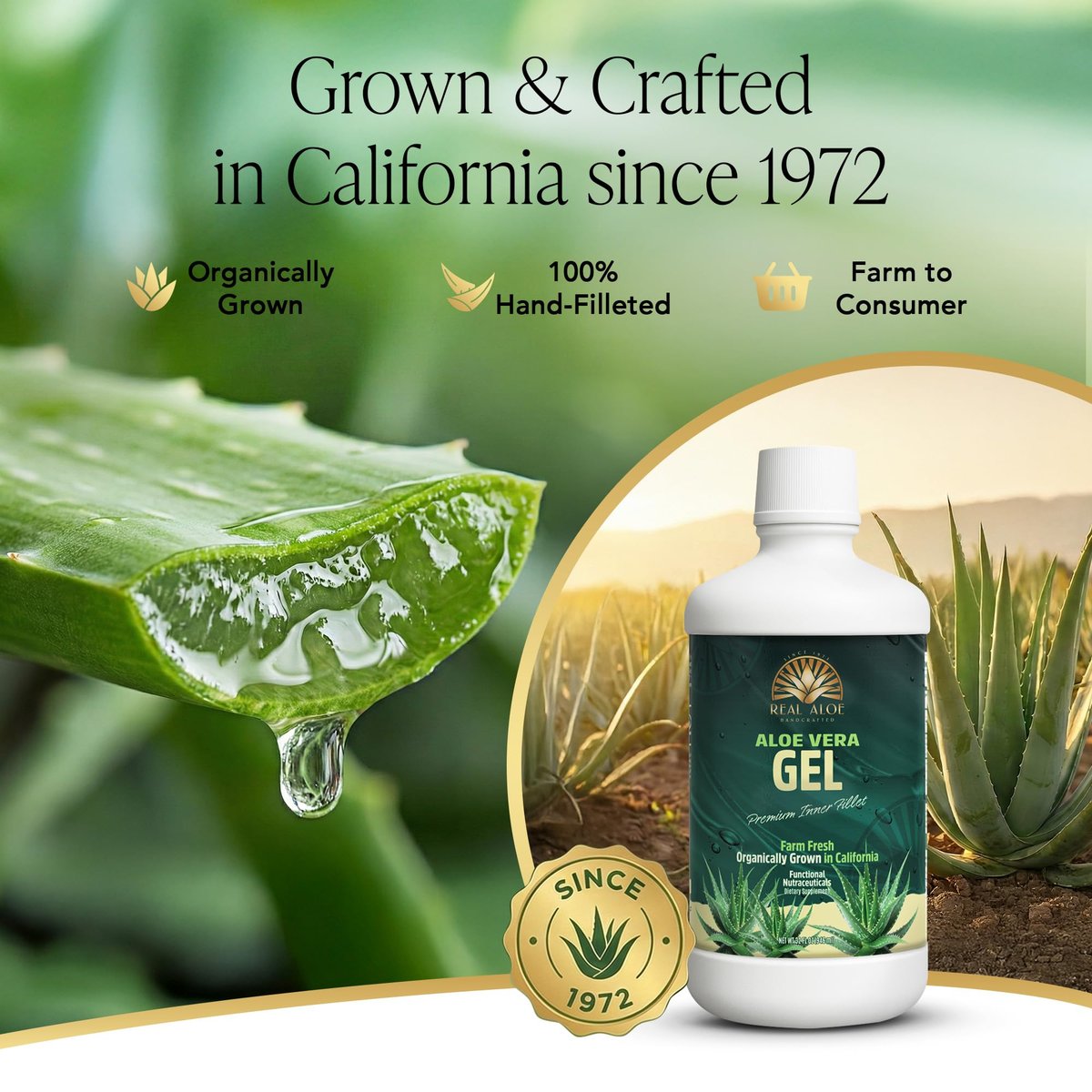 Real Aloe Aloe Vera Gel (32 fl oz) - Organic Inner Leaf Gel for Gut Health & Digestion, Aloin-Free, Made in USA Avelisse