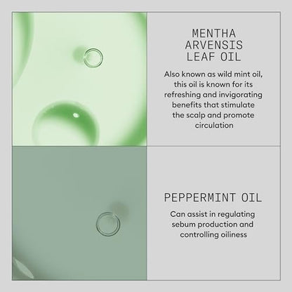 Nioxin Hair Booster Serum | Advanced Leave-In Hair Treatment | Strengthens and Conditions | 3.4 Fl Oz Avelisse
