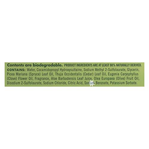 Mrs. Meyer's Iowa Pine Hand Soap, 12.5 oz - Festive Scent, Gentle Clean - görsel 3