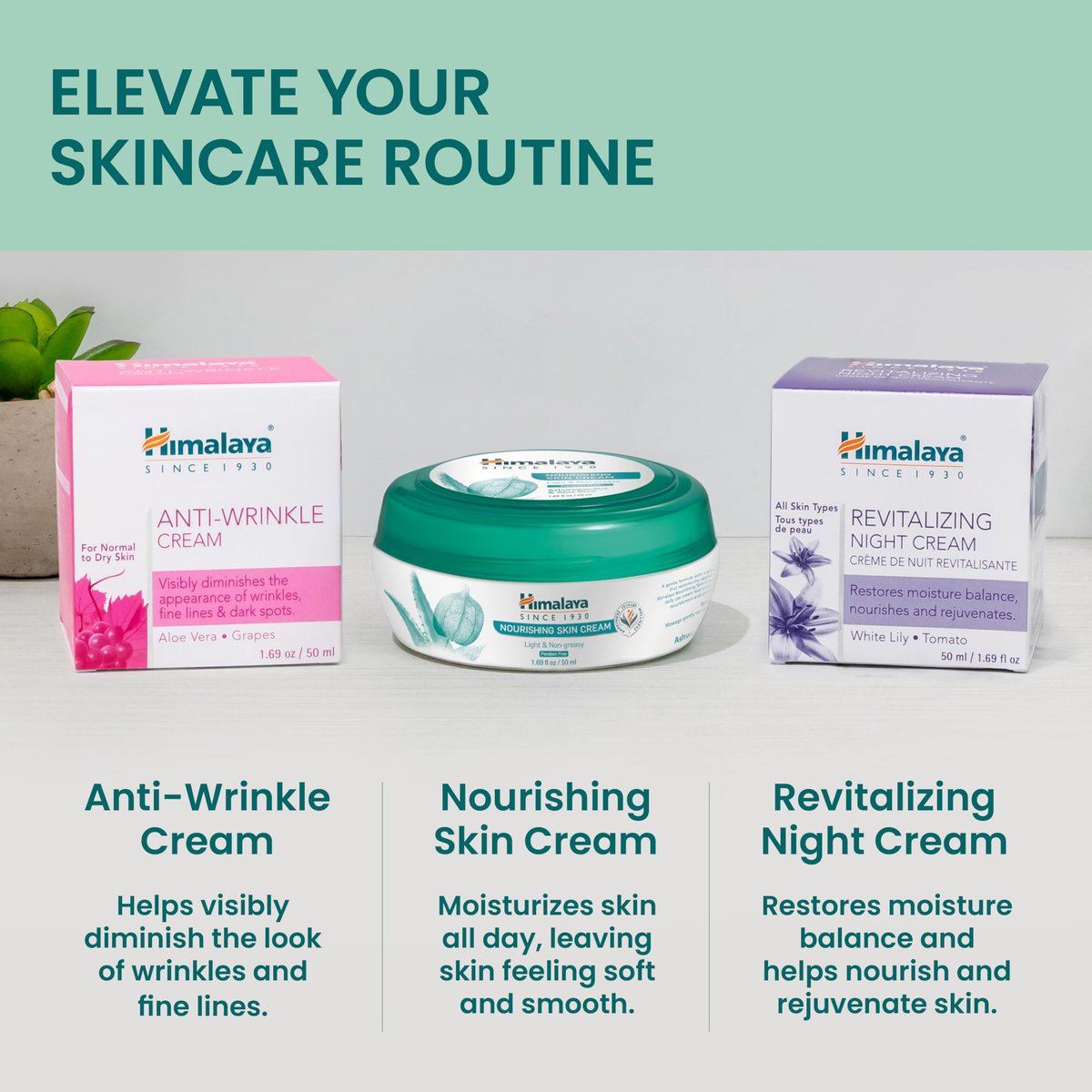 Himalaya Nourishing Skin Cream with Aloe Vera and Winter Cherry (Ashwagandha) - Face Moisturizer, 1.69 oz - görsel 9