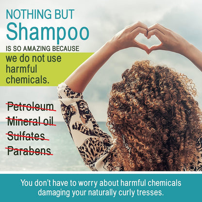 NOTHING BUT Clarifying Shampoo - Sulfate-Free Detox for Natural Hair - 12 oz Avelisse