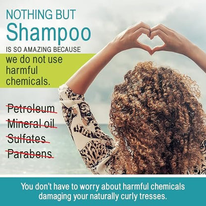 NOTHING BUT Clarifying Shampoo - Sulfate-Free Detox for Natural Hair - 12 oz Avelisse