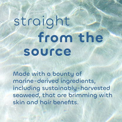Unscented Gentle Conditioner with Seaweed, Aloe & Argan Oil – 12 oz – The Seaweed Bath Co. Avelisse