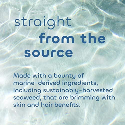 Unscented Gentle Conditioner with Seaweed, Aloe & Argan Oil – 12 oz – The Seaweed Bath Co. Avelisse