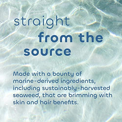 Unscented Gentle Conditioner with Seaweed, Aloe & Argan Oil – 12 oz – The Seaweed Bath Co. Avelisse