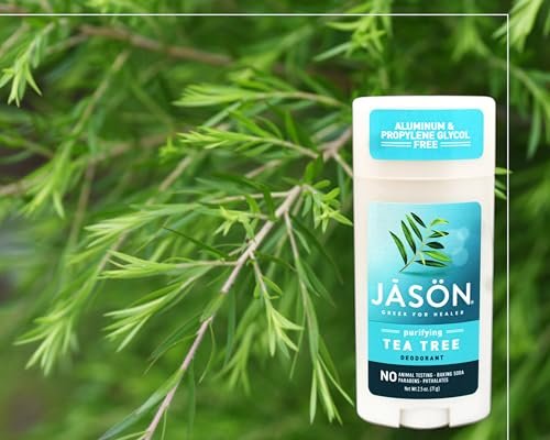 Jason Purifying Tea Tree Deodorant Stick - 2.5 oz, Natural & Aluminum-Free - görsel 8