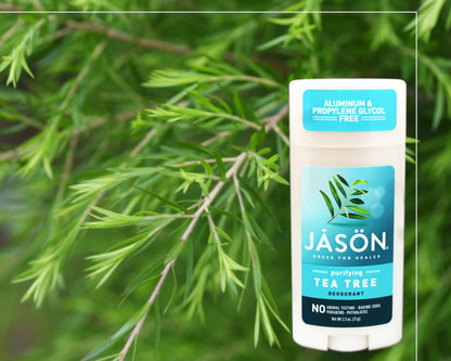 Jason Purifying Tea Tree Deodorant Stick - 2.5 oz, Natural & Aluminum-Free