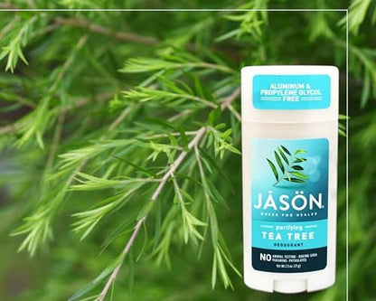 Jason Purifying Tea Tree Deodorant Stick - 2.5 oz, Natural & Aluminum-Free