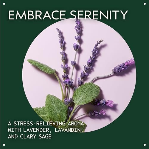 Aveda Stress-Fix Concentrate Rollerball – Reduce Feelings of Stress with Lavender, Lavandin & Clary Sage Aroma, 0.24 Fl Oz Avelisse