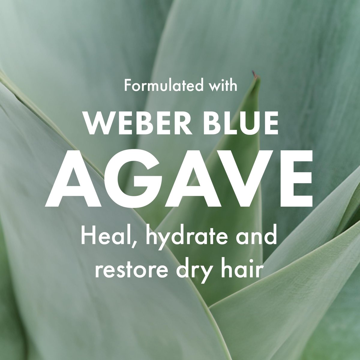 Agave Smoothing Conditioner - Lightweight Moisture Infusion & Frizz Control, Sulfate-Free, Color-Safe, 8.5 oz - görsel 13