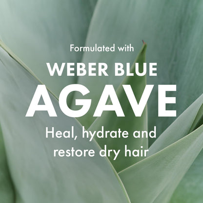 Agave Smoothing Conditioner - Lightweight Moisture Infusion & Frizz Control, Sulfate-Free, Color-Safe, 8.5 oz
