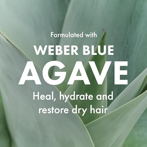 Agave Smoothing Conditioner - Lightweight Moisture Infusion & Frizz Control, Sulfate-Free, Color-Safe, 8.5 oz - görsel 14