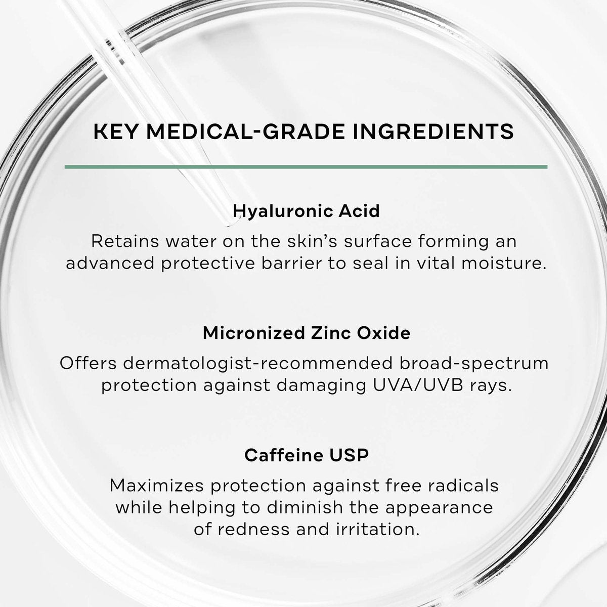 Replenix Antioxidant Hydrating Sunscreen SPF 50+ - Medical Grade Zinc Oxide Sun Protection, UVA/UVB Broad Spectrum, Safe for Sensitive Skin, 4 oz Avelisse