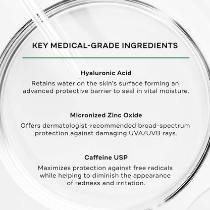Replenix Antioxidant Hydrating Sunscreen SPF 50+ - Medical Grade Zinc Oxide Sun Protection, UVA/UVB Broad Spectrum, Safe for Sensitive Skin, 4 oz Avelisse