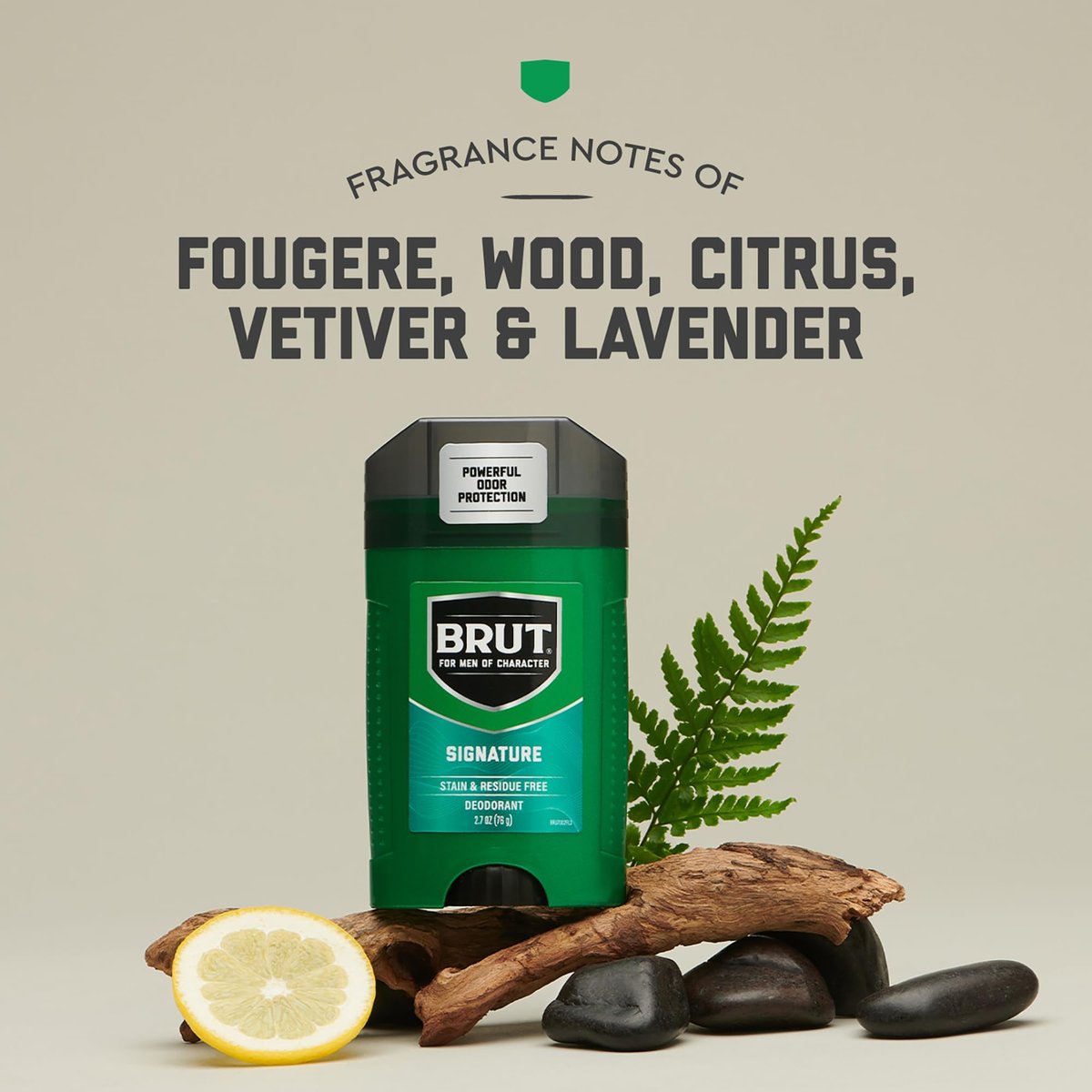 Brut Signature Scent 48H Odor Protection Deodorant Stick for Men, 2.7 oz - görsel 3