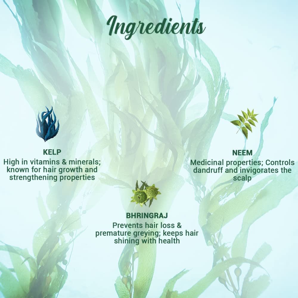 Biotique Bio Kelp Fresh Growth Protein Shampoo, 800ml - Natural Hair Growth & Scalp Care - görsel 3