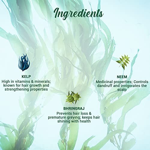 Biotique Bio Kelp Fresh Growth Protein Shampoo, 800ml - Natural Hair Growth & Scalp Care - görsel 4