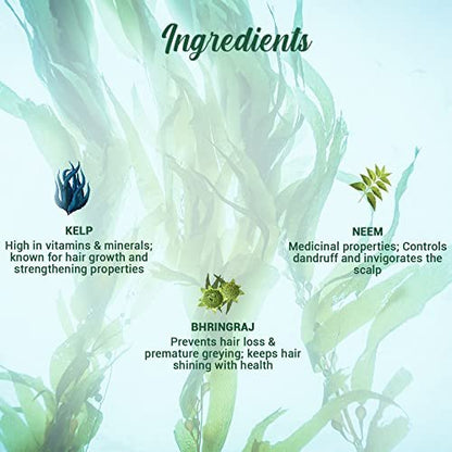 Biotique Bio Kelp Fresh Growth Protein Shampoo, 800ml - Natural Hair Growth & Scalp Care