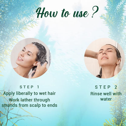 Biotique Bio Kelp Fresh Growth Protein Shampoo, 800ml - Natural Hair Growth & Scalp Care