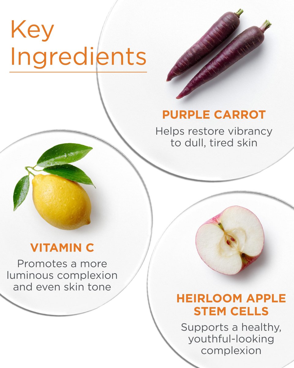 Andalou Naturals Purple Carrot + Vitamin C Luminous Skin Night Cream - Hydrating Face Moisturizer with Fruit Stem Cell Complex - 1.7 fl oz Avelisse