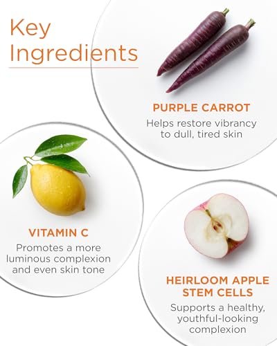 Andalou Naturals Purple Carrot + Vitamin C Luminous Skin Night Cream - Hydrating Face Moisturizer with Fruit Stem Cell Complex - 1.7 fl oz Avelisse