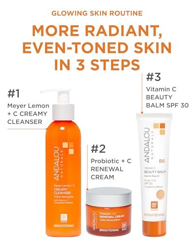 Andalou Naturals Vitamin C BB Beauty Balm Sheer Tint SPF 30 - 2-in-1 BB Cream & Mineral Sunscreen for Face - With Non-Nano Zinc Oxide Skin Protection - 2 fl oz
