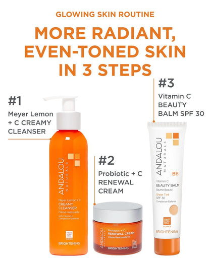 Andalou Naturals Vitamin C BB Beauty Balm Sheer Tint SPF 30 - 2-in-1 BB Cream & Mineral Sunscreen for Face - With Non-Nano Zinc Oxide Skin Protection - 2 fl oz