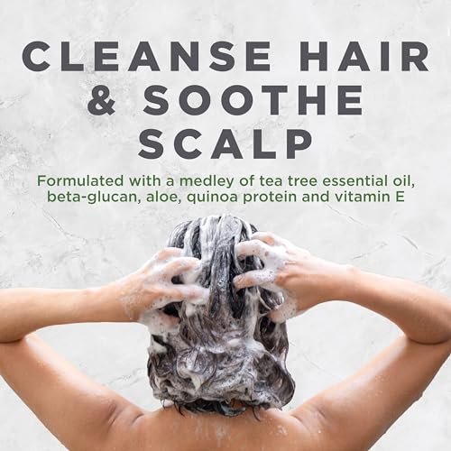 Avalon Organics Tea Tree Scalp Treatment Shampoo – 11 fl oz | Soothing Shampoo for Dandruff, Dry Scalp & Hair Care - görsel 6