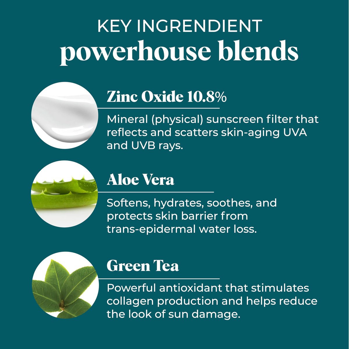 VI Derm SPF 50 Daily UV Defense Sunscreen - Broad Spectrum Sunblock for Face & Body - Lightweight, Oil-Free, Fast-Absorbing Skincare Protector - Clean, Non-Greasy Formula - Fragrance Free, 2 Fl Oz Avelisse