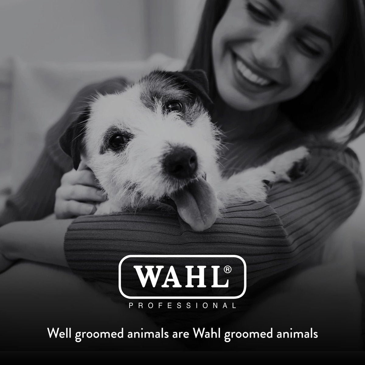 Wahl Professional Animal 5-in-1 Adjustable Clipper Blade Replacement – Silver, for Arco, Bravura, Chromado & More Avelisse