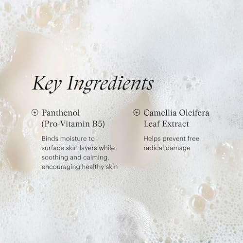 SkinMedica Foaming Face Wash – Gentle Facial Cleanser for All Skin Types, 6 fl oz Avelisse