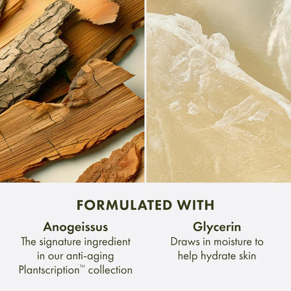 Origins Plantscription Anti-Aging Cleanser – Gentle Face Wash with Glycerin & Anogeissus for All Skin Types (5 Fl Oz) Avelisse