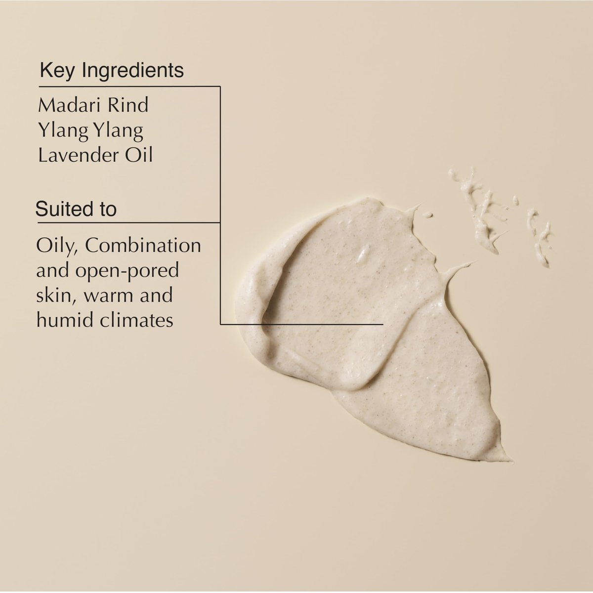 Aesop Purifying Facial Exfoliant Paste | Cream-Based Cleanser with Fine Quartz, Rosemary Leaf & Lactic Acid | 75mL Avelisse