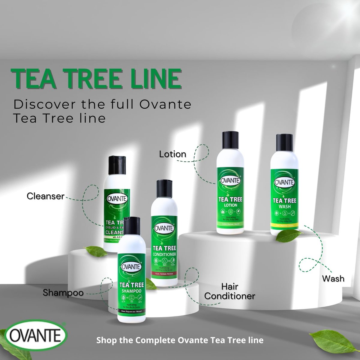 OVANTE Tea Tree Oil Eyelid & Facial Cleanser Wash for Demodex Prone Skin, 4 oz Avelisse