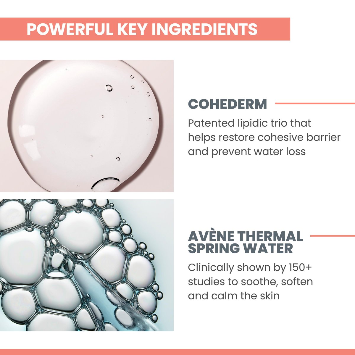 Avène Hydrance LIGHT Hydrating Emulsion – Daily Face Moisturizer for Sensitive, Dehydrated Skin, Non-Comedogenic, 1.3 oz Avelisse