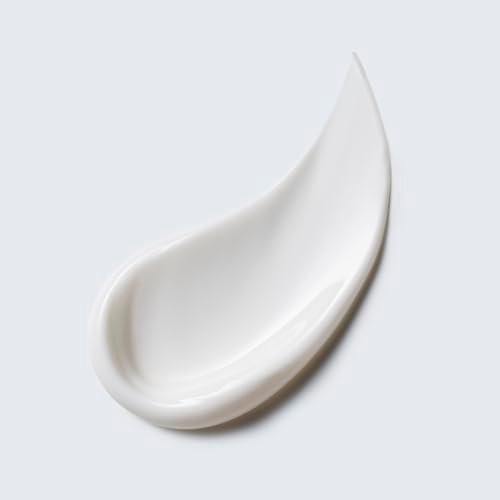 Estée Lauder Perfectly Clean Multi-Action Cream Face Wash & Moisture Mask for Dry Skin, 5 oz Avelisse