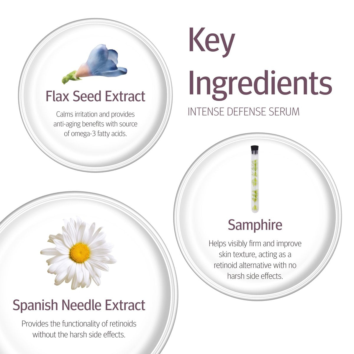Epionce Intense Defense Serum – Anti-Aging Facial Serum with Vitamin C, E, D, A, B & Niacinamide | Dermatologist-Developed Skincare Avelisse