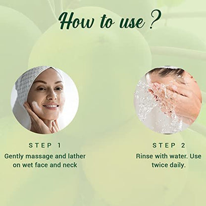Biotique Bio Papaya Exfoliating Face Wash for All Skin Types - 150ml