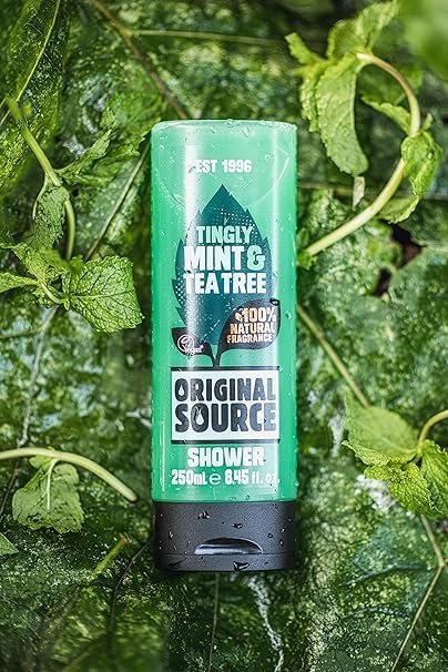 Original Source Tea Tree & Mint Shower Gel 250ml (Pack of 6) Avelisse