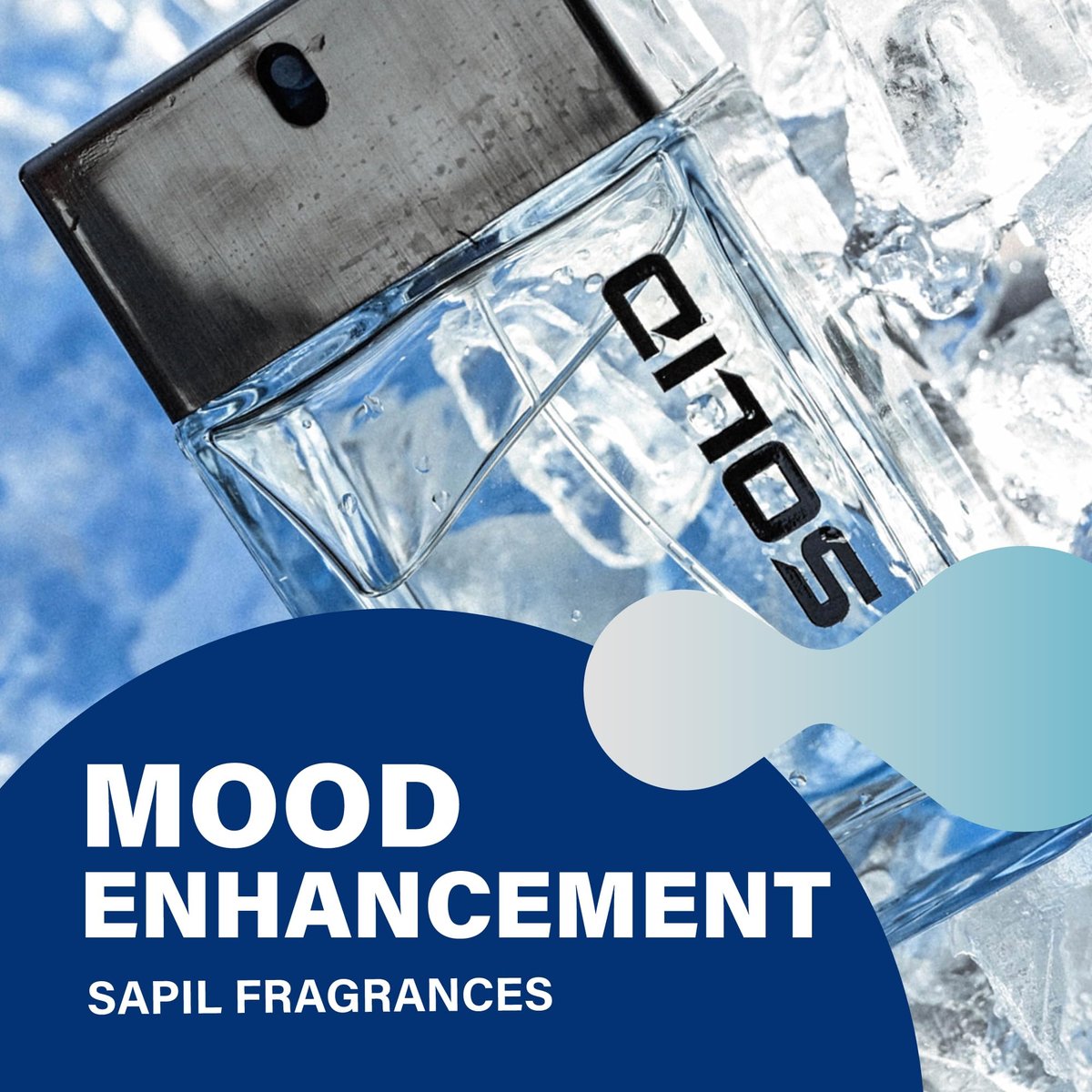 Sapil Solid Eau de Toilette for Men – Long-Lasting Citrus, Woody, Musky & Warm Spicy Scent – 3.4 oz (100ml) Premium Arabic Toilette - görsel 10