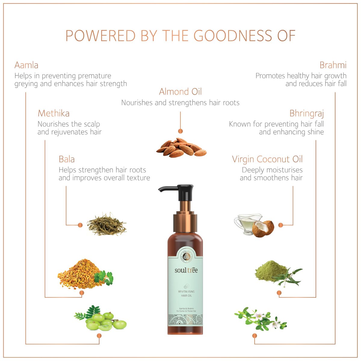 SOULTREE Brahmi Amla Hair Oil – 200 Ml for Healthy Hair Growth & Scalp Care - görsel 3