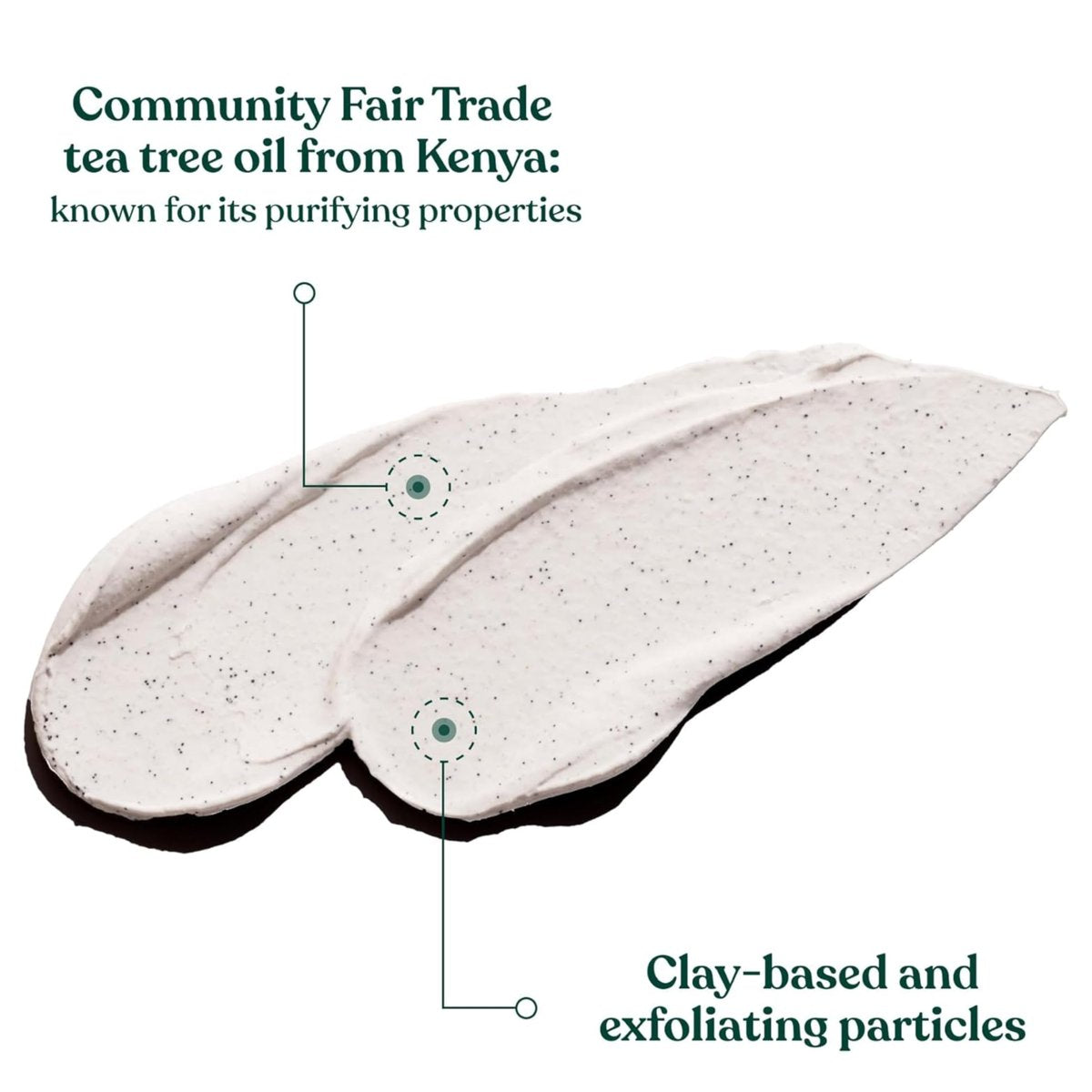 The Body Shop Tea Tree Skin Clearing Daily Face Scrub - Exfoliating and Purifying for Blemished Skin - 4.2 Fl Oz Avelisse